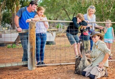 Greenough Wildlife & Bird Park